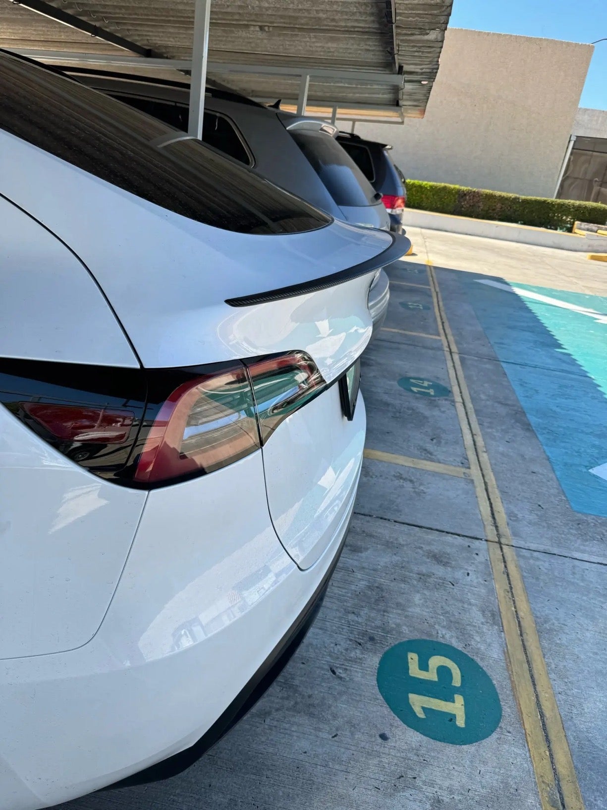 Tesla Aerodynamic Hub Caps